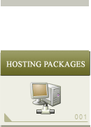 Web Hosting